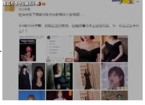爆料无罪吃瓜视频在线观看,在线观看，畅享无界娱乐盛宴